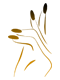 NAILPEAK